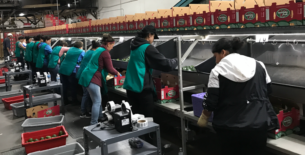 Greenhouse Labor Management Software